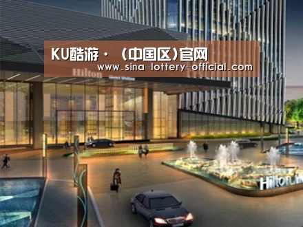 案例展示二(图1)