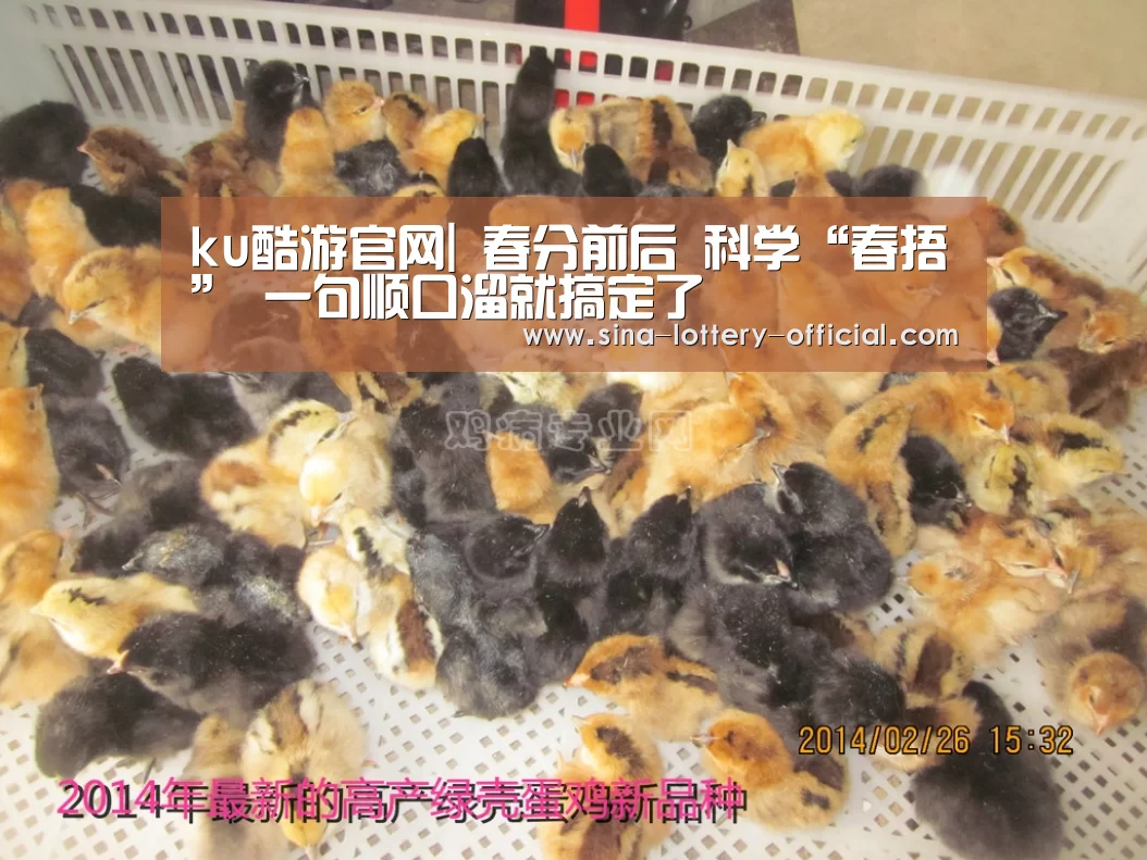 ku酷游官方入口