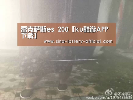雷克萨斯es 200【ku酷游APP下载】(图20) ku酷游APP下载